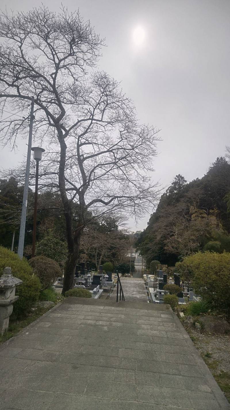 洞雲寺,福島県相馬市西山表西山１２６