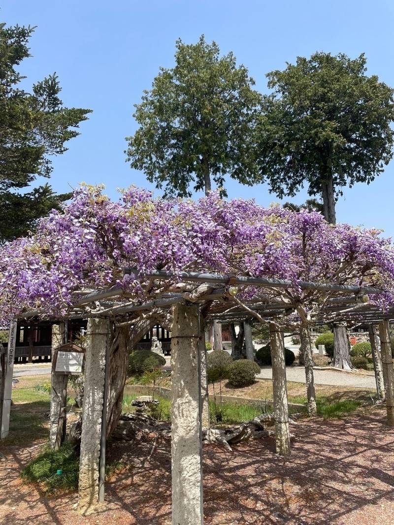 浄土寺,兵庫県小野市浄谷町2094