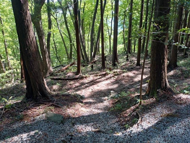 笠山神社,埼玉県比企郡小川町腰越