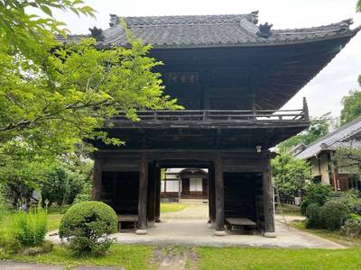 性源寺,見どころ,メギピッピ