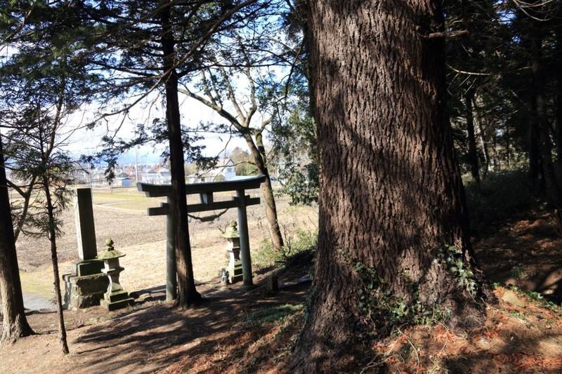 白幡神社,福島県郡山市田村町大字大善寺字宿140