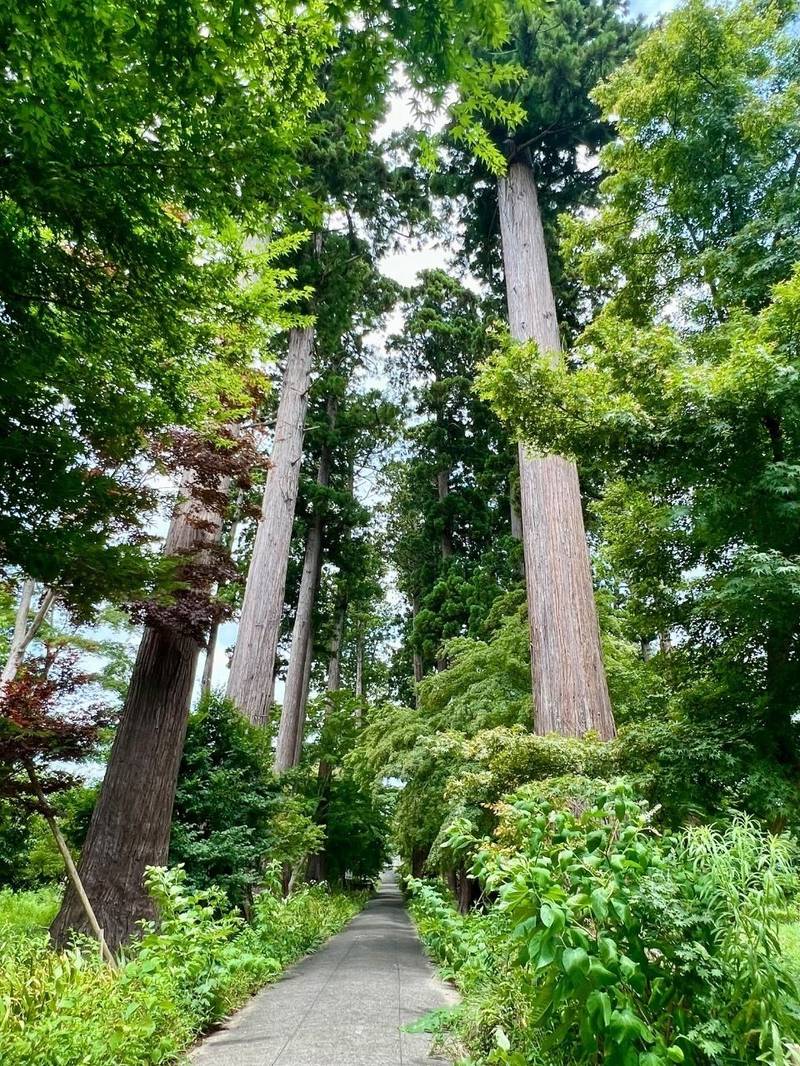 安良川八幡宮   (高萩八幡宮),茨城県高萩市安良川1180