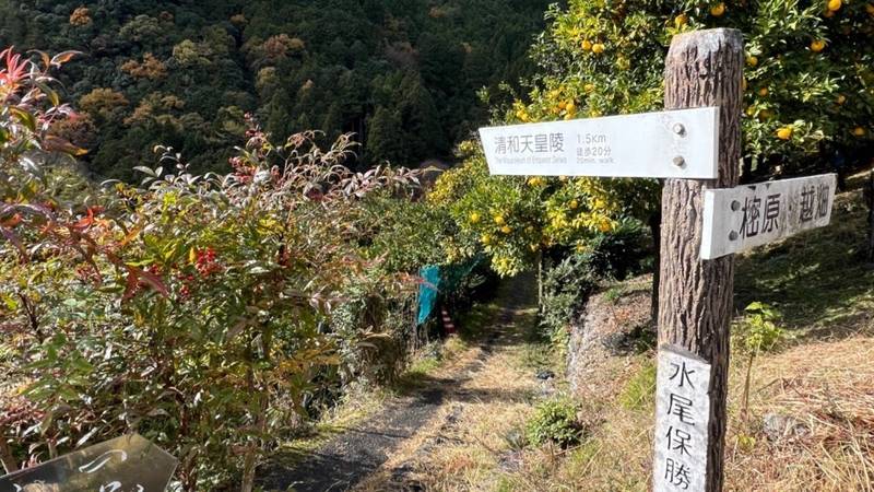 水尾山陵　清和天皇,京都府京都市右京区嵯峨水尾武蔵嶋町