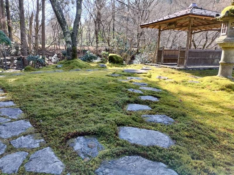 白龍神社,京都府京都市左京区鞍馬二ノ瀬町106