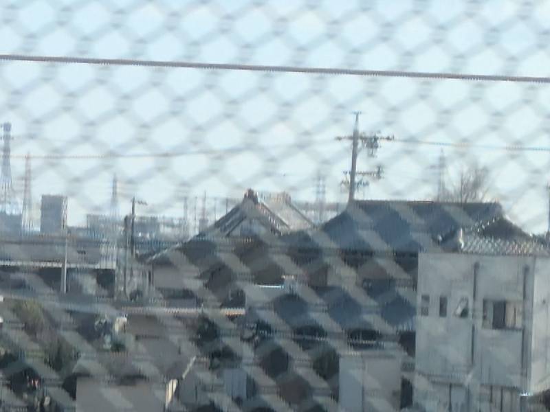 善行寺   (野田),三重県津市野田114