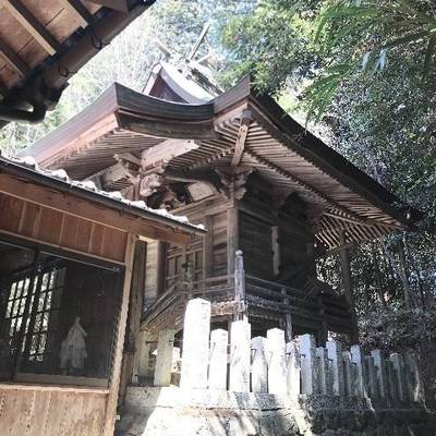 弓削熊野神社,見どころ,Y.Shiraga