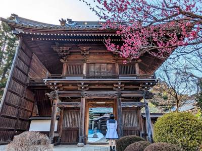 法音寺,見どころ,平沢凛