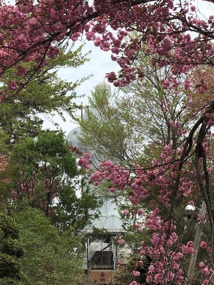 尾花沢花笠地蔵尊    (日本一花笠地蔵),山形県尾花沢市上町4丁目12〔(旧)花笠踊り観光センター内〕