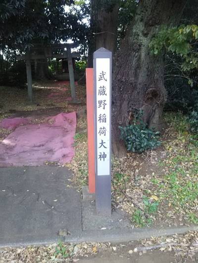 武蔵野稲荷神社,見どころ,流離う風