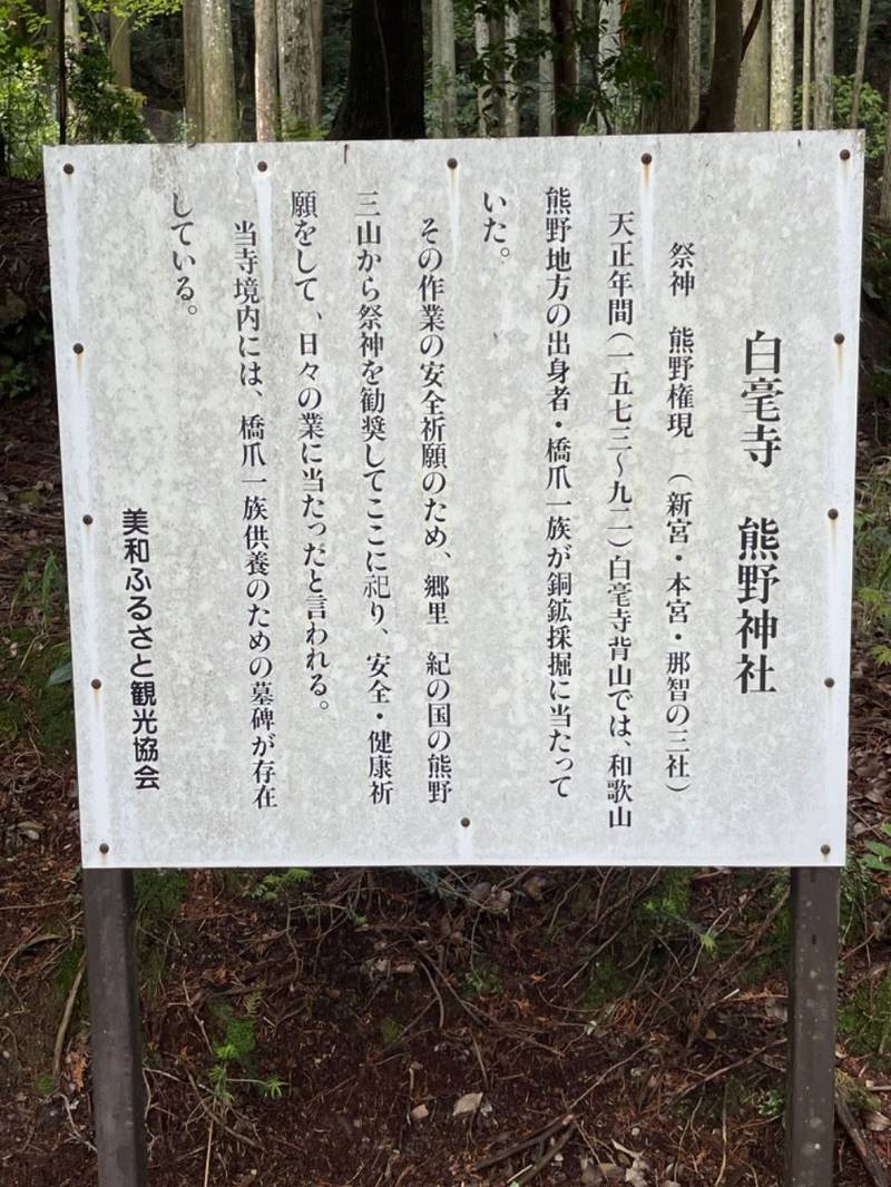 白毫寺熊野権現社,兵庫県丹波市市島町白毫寺709
