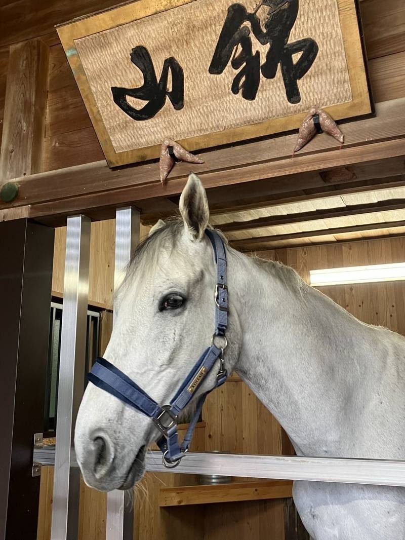 多度大社,三重県桑名市多度町多度1681