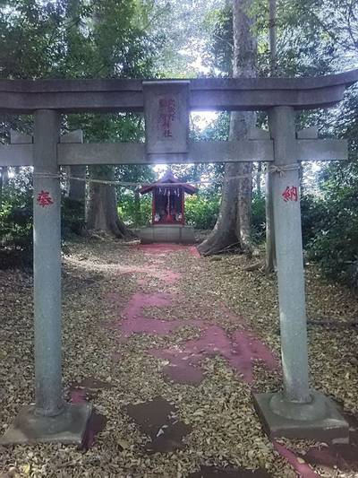 武蔵野稲荷神社,見どころ,流離う風
