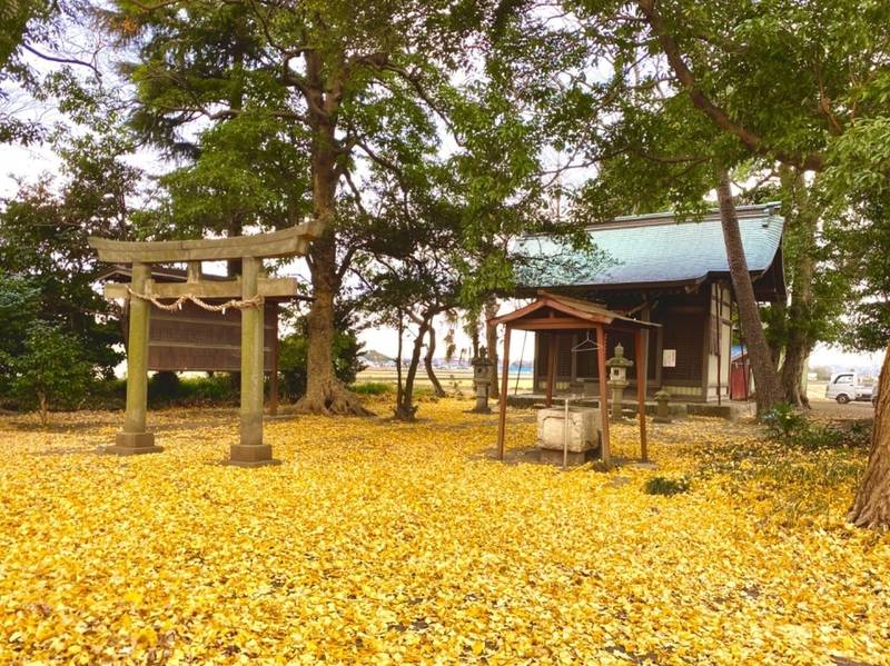 猿ヶ島熊野神社,神奈川県厚木市猿ヶ島37
