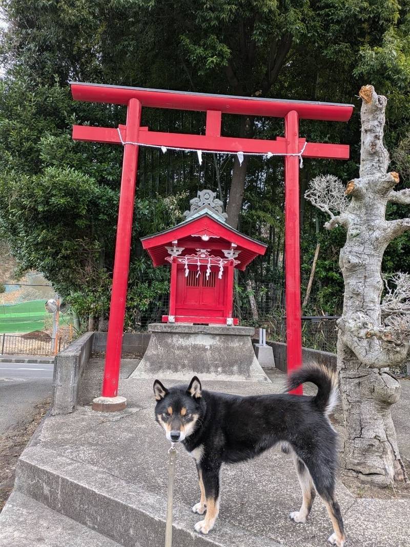 稲荷神社    (上溝1464),神奈川県相模原市中央区上溝1464