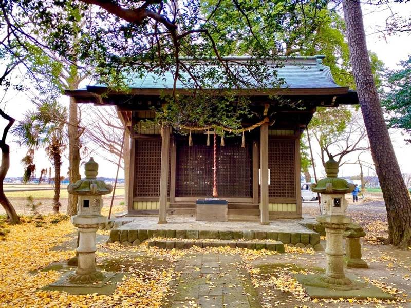 猿ヶ島熊野神社,神奈川県厚木市猿ヶ島37