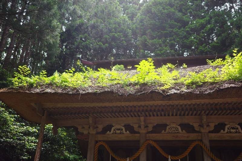 水上八幡神社,山形県鶴岡市水沢１