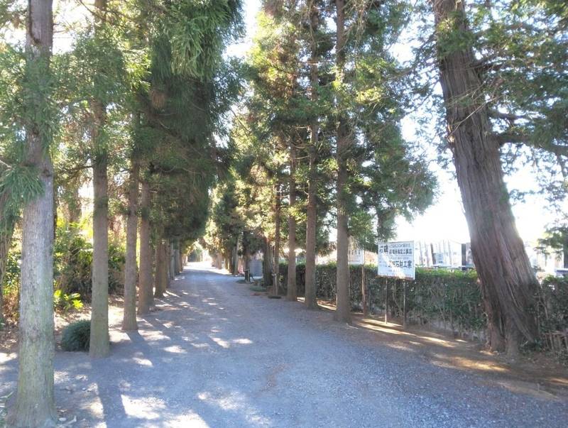 洞谷山 保福寺,埼玉県蓮田市江ヶ崎1929
