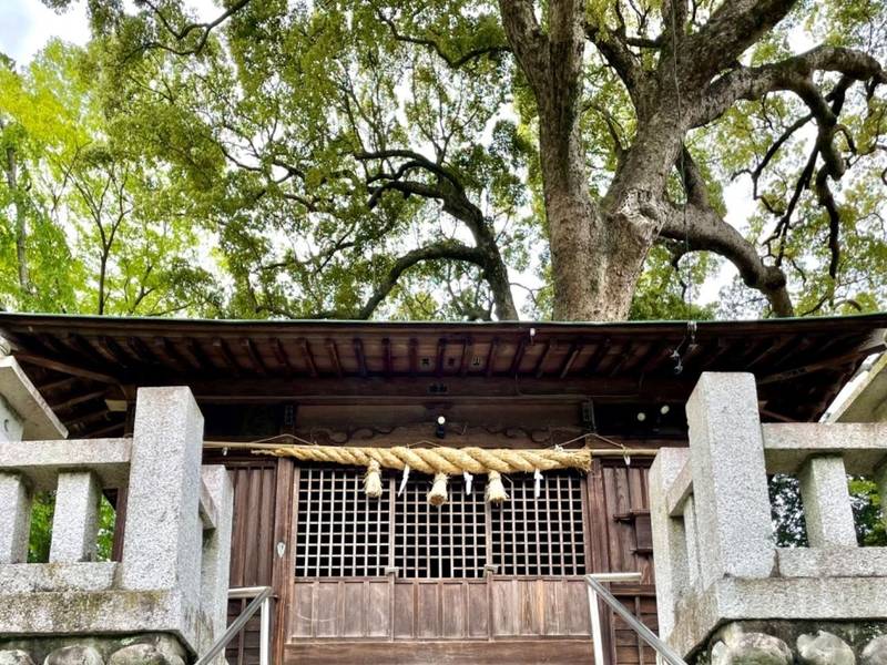 但沼神社,静岡県静岡市清水区但沼386