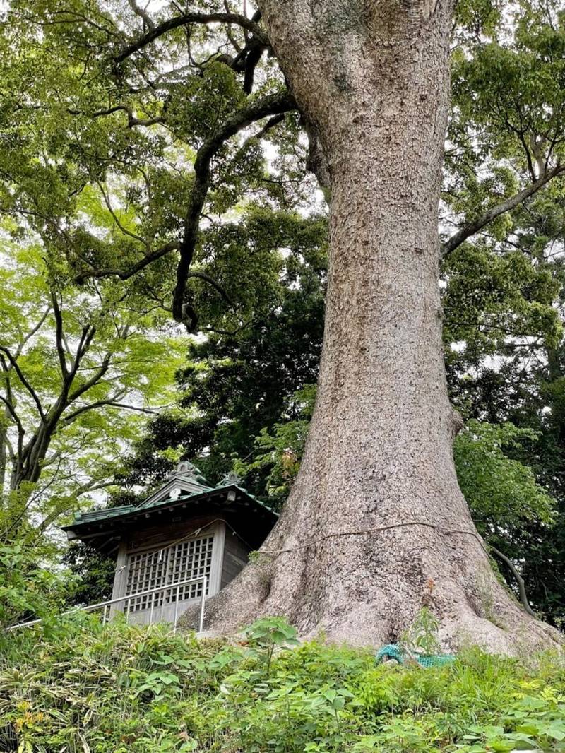 但沼神社,静岡県静岡市清水区但沼386