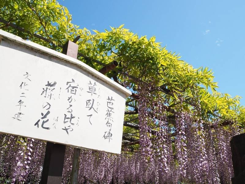相州藤沢白旗神社,神奈川県藤沢市藤沢2-4-7