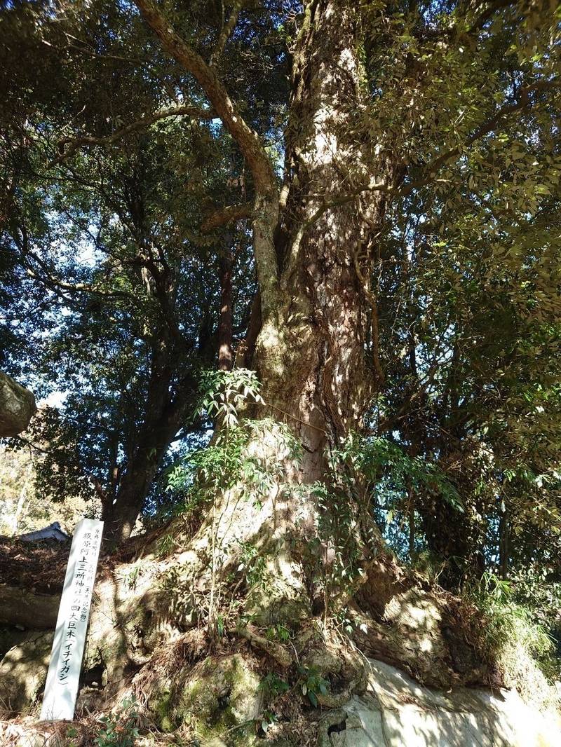 阿上三所神社  (坂原)