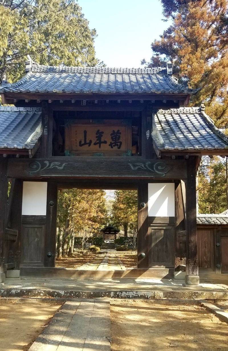 大泉寺,山梨県甲府市古府中町5015