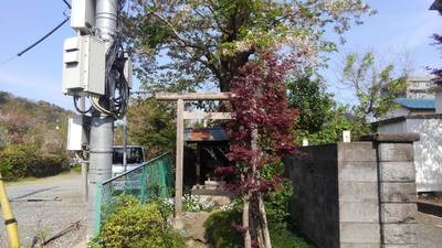 姫稲荷神社,見どころ,あおつき