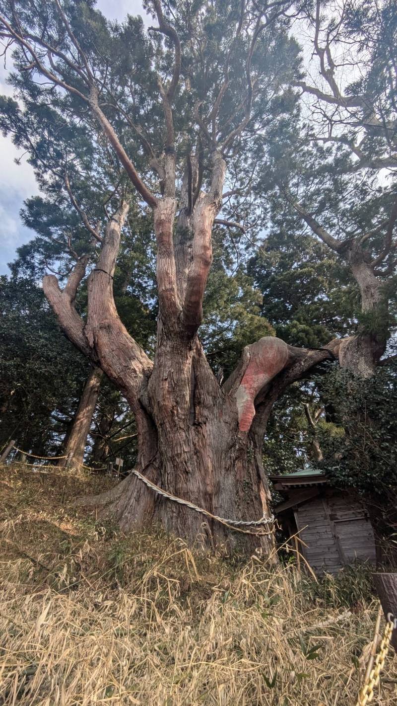 八幡神社  (越喜来),岩手県大船渡市三陸町越喜来杉下４９