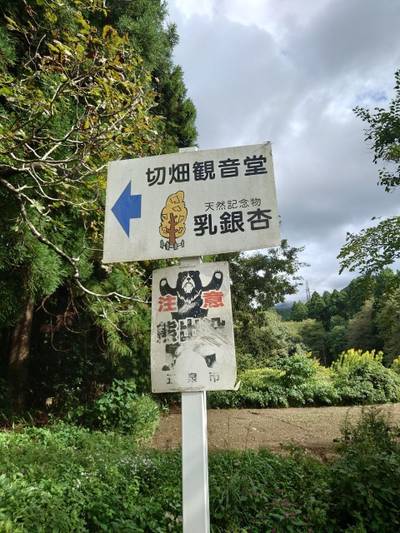 切畑観音堂,見どころ,竹りじゅ