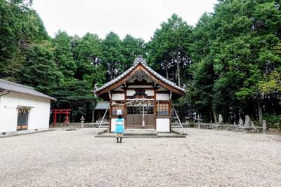 諏訪神社,見どころ,平沢凛