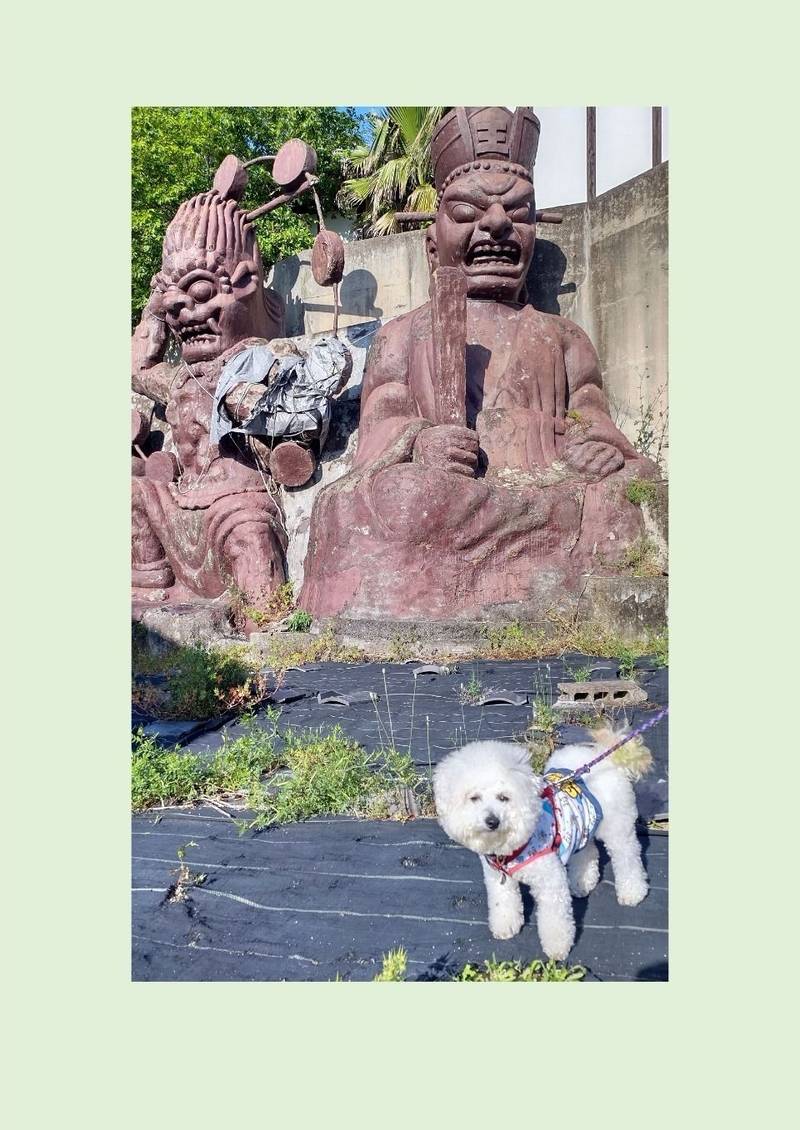 善徳寺  (荒尾観音),熊本県荒尾市増永2714-5