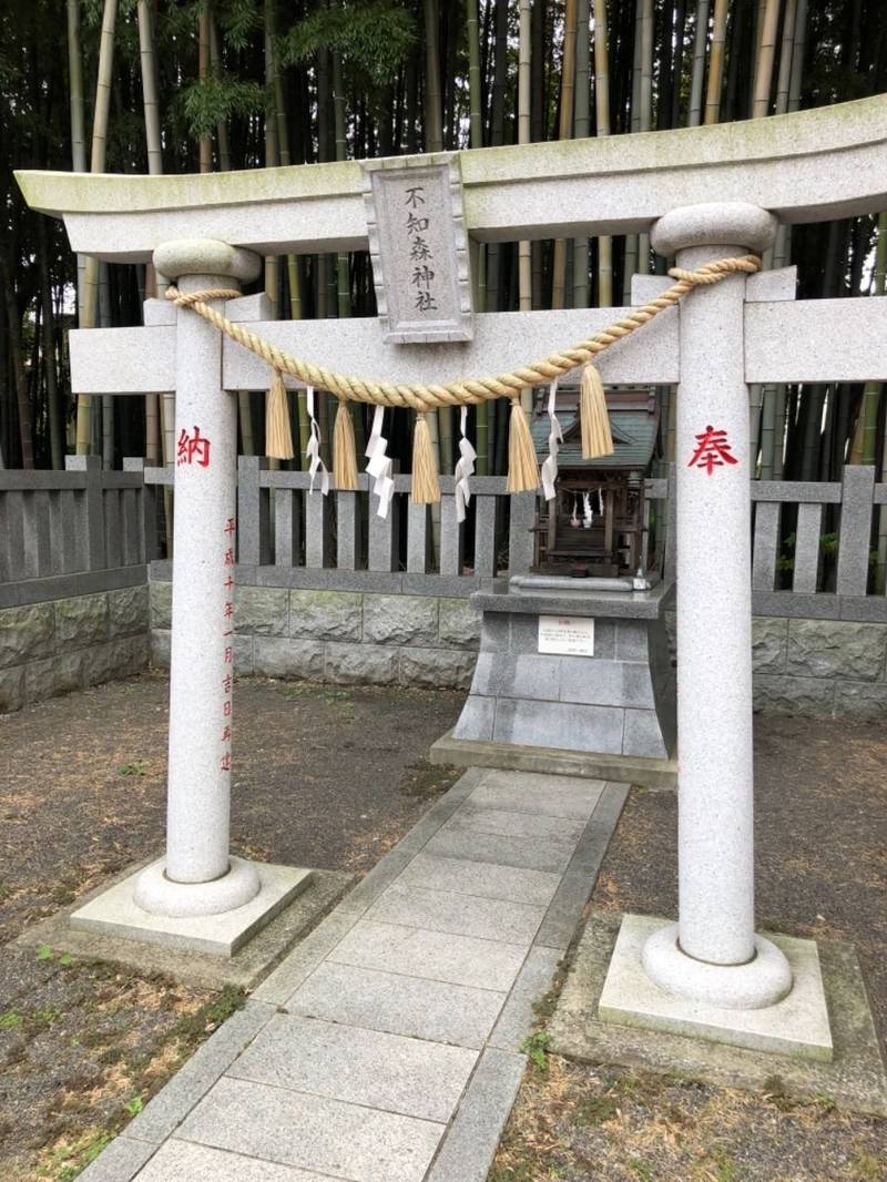 不知森神社 市川市 千葉県 Omairi おまいり