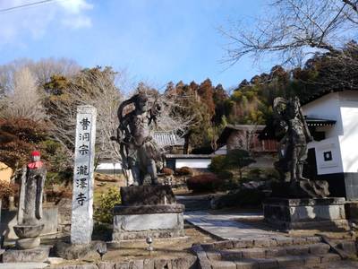 瀧澤禅寺,見どころ,とるど
