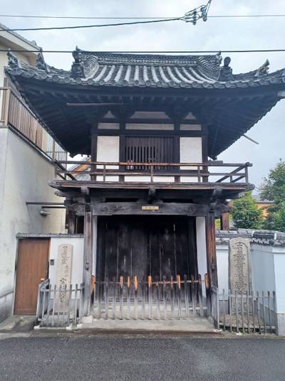宗延寺,見どころ,ボブ