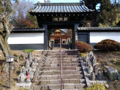 瀧澤禅寺,見どころ,とるど