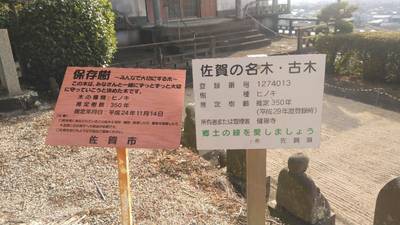 健福寺,見どころ,メカぽん