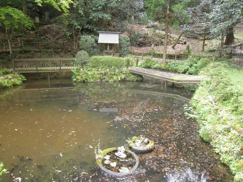 東山寺,京都府舞鶴市倉谷９６１
