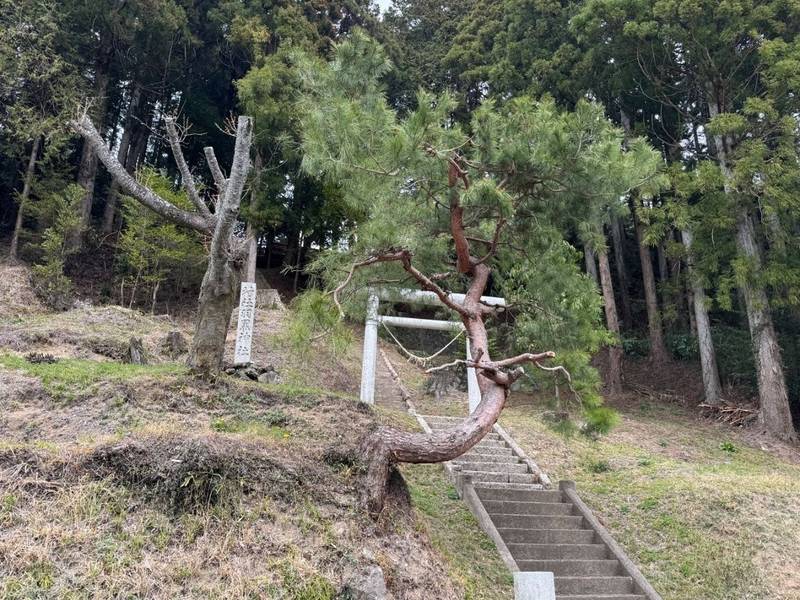羽黒神社  (松久須根),福島県いわき市常磐松久須根町大夫内58