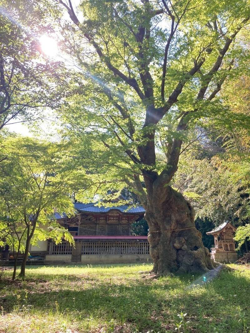 八柱神社,茨城県桜川市真壁町塙世968