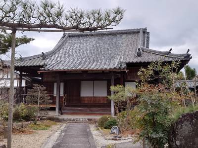 正誓寺,見どころ,とっちー