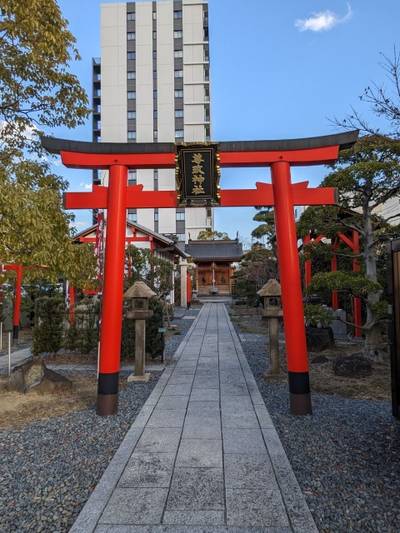 尊政神社,見どころ,雪夜