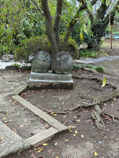 泉子育観音 慶龍寺,見どころ,よしゆき贔屓369