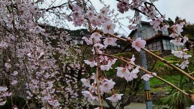 泰雲寺,見どころ,勝野武士