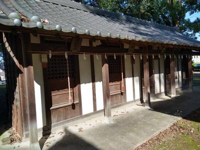 春日神社,見どころ,おうぎ