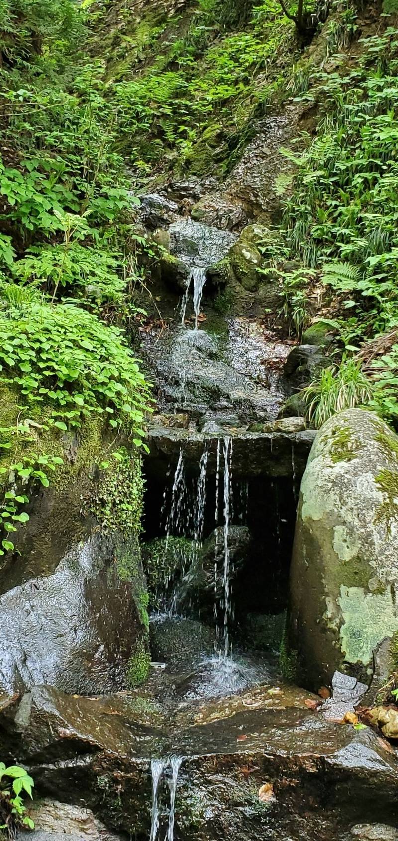 熊谷神社,山形県東田川郡庄内町肝煎丑ノ沢７１