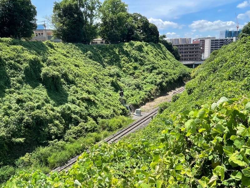 水戸城址,茨城県水戸市三の丸1-6-29