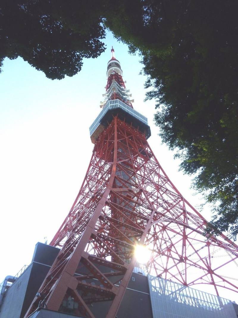 金地院,東京都港区芝公園3-5-4