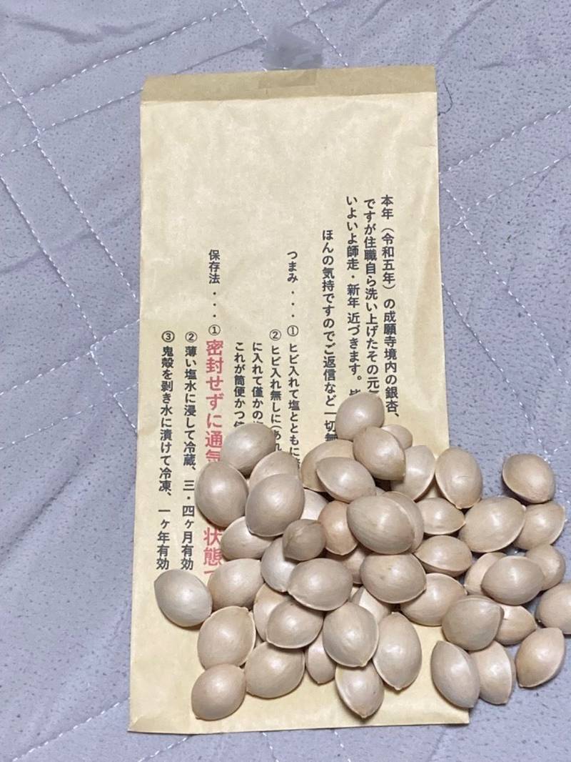 成願寺 中野区/東京都 Omairi(おまいり)