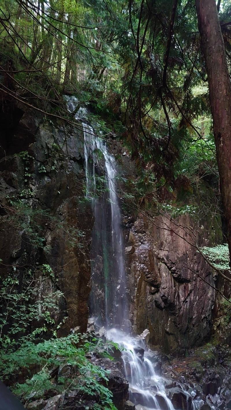 護山神社,岐阜県中津川市付知町1594