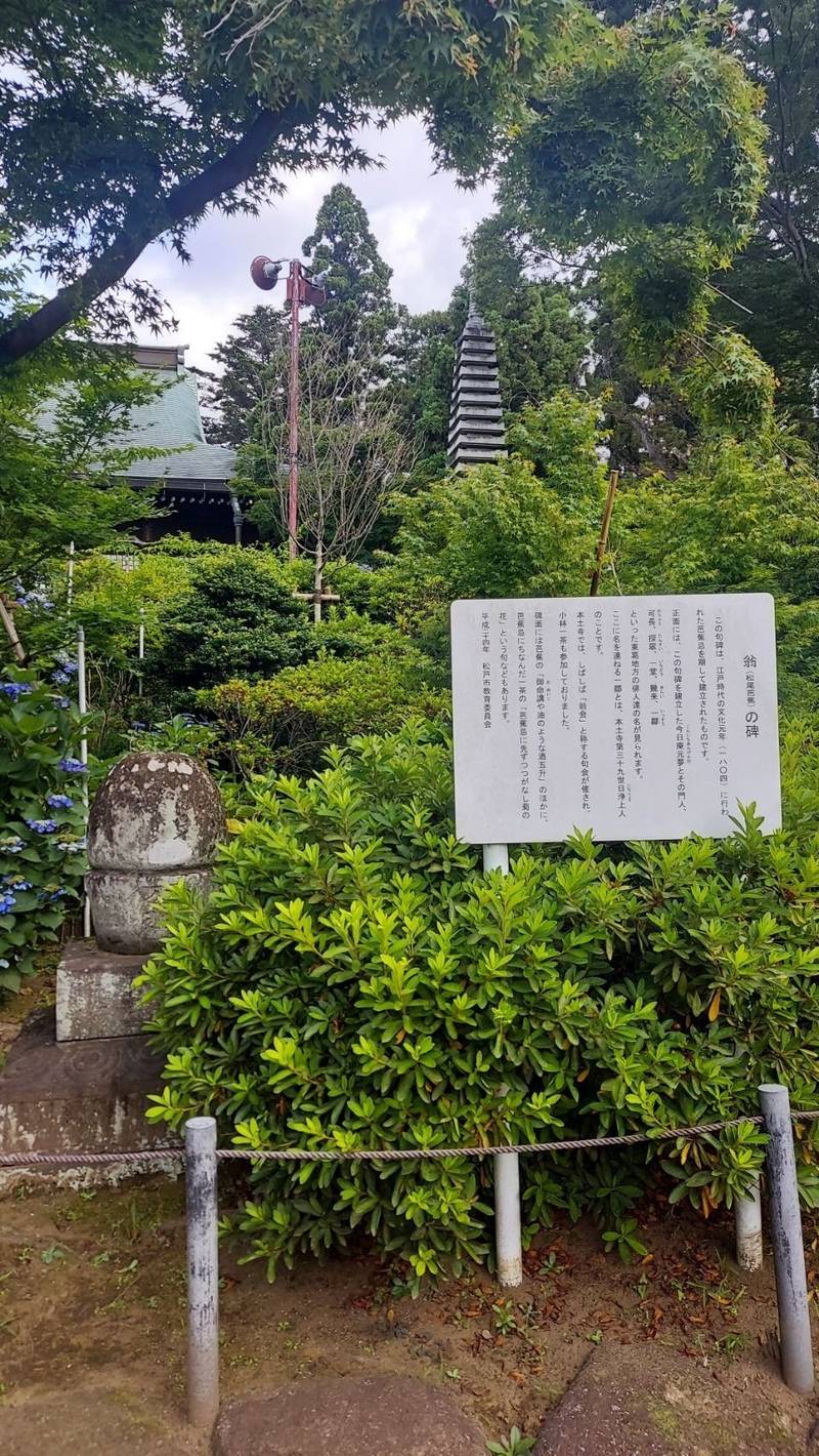 本土寺 見どころ 松戸市 千葉県 Omairi おまいり